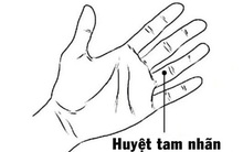 Kéo dài tuổi thọ, sức khoẻ thăng hạng, chữa bệnh đau dạ dày đơn giản chỉ nhờ bấm đúng 1 huyệt trên bàn tay