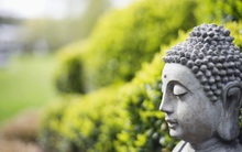 Đức Phật nói gia đình muốn hưng thịnh thì nên làm 1 việc này, ai cũng cần lưu ý