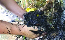 Hành trình truy dấu ô nhiễm nguồn nước sông Đà