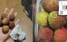 Dân mạng Việt khoe những trái vải bán trong siêu thị Nhật, 120k được mỗi 7 quả mà vẫn "cháy hàng"