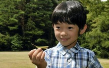 Suýt thay đổi luật vì không có người kế vị nhưng đến khi hoàng tử chào đời, Hoàng gia Nhật lại dạy dỗ con "lạ lùng" như thế này