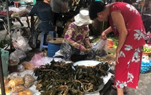 Tết Đoan Ngọ, 'lá xông, bánh ú nước tro' đắt như tôm tươi