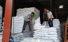 Philippines loại bỏ kế hoạch nhập khẩu 300.000 tấn gạo