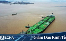 Nhân lúc giá dầu "rẻ như cho", TQ đã quyết định làm điều này: Cao thủ không bằng... tranh thủ?