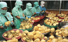 Bao giờ nhà nông hết tư tưởng "bán một lần cho xong"?