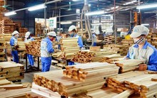 Động lực từ xuất khẩu sang Mỹ, doanh nghiệp gỗ Việt Nam sẽ bứt phá lợi nhuận trong năm 2022?