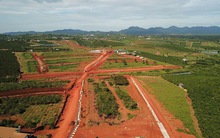 Thông tin mới nhất về quy định phân lô, tách thửa tại Lâm Đồng