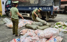 Tịch thu hàng tấn chả cá, sủi cảo không rõ nguồn gốc