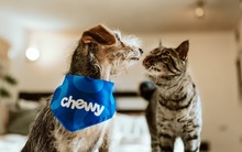 Sống tối giản trong các mối quan hệ mới là người khôn ngoan: Sau 30 tuổi, bạn cần đi sâu vào những mối quan hệ thật sự CHẤT LƯỢNG