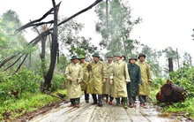 40 công nhân, chuyên gia thủy điện Rào Trăng 3 di chuyển bằng đường rừng đến Rào Trăng 4