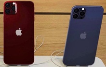 iPhone 12 đầu tiên về Việt Nam như thế nào?
