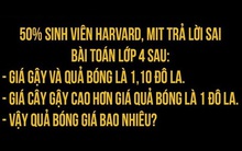 Bài toán 50% sinh viên Harvard trả lời sai: Giá gậy và bóng là 1,1 USD. Giá gậy cao hơn bóng 1 USD. Hỏi giá bóng?