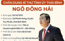 [Infographic]: Chân dung Bí thư Tỉnh ủy Thái Bình Ngô Đông Hải