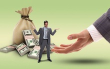 Công ty Thống Nhất (BAX) tạm ứng cổ tức bằng tiền tỷ lệ 30%, giá cổ phiếu vẫn tăng mạnh