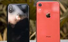 Giá iPhone “tuột dốc không phanh” sau khi iPhone 12 trình làng