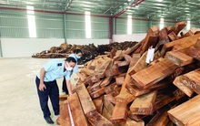 Nguy cơ mất trắng gần 50.000 tỷ đồng thuế