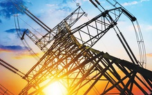 PCC1 thông qua phương án phát hành gần 32 triệu cổ phiếu trả cổ tức