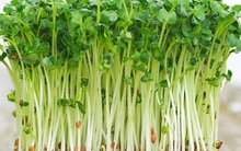 Đừng tiếc rẻ đồ dùng, thực phẩm khi có những dấu hiệu sau: Nguy cơ ngộ độc ở ngay trước mắt mà nhiều người không hề hay biết!