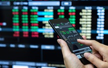 Chuyển động quỹ đầu tư tuần 12-18/10: Dragon bán ACB, thỏa thuận lớn tại MWG và FPT