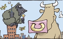 [Nhịp đập phái sinh phiên 22/10] Phe Long bứt phá thần tốc cuối phiên chiều