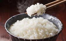 Tinh bột không gây béo phì: Bác sĩ Anh khẩn thiết kêu gọi “ngừng coi tinh bột như ma quỷ”