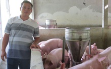 Nuôi heo theo cách lạ, anh nông dân chưa học hết cấp 3 trở thành tỷ phú, doanh thu gần 22 tỷ/năm