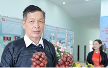 Thu hàng trăm triệu đồng mỗi năm từ trồng cây dược liệu