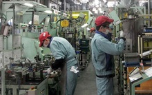 Nhật Bản bổ sung 7 loại hình công việc đối với lao động Việt