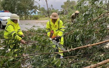 Bão số 9: Thừa Thiên - Huế có gió rất mạnh, cây đổ