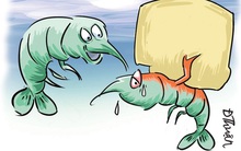 10 kinh nghiệm sống của Giáo sư ĐH Harvard: Sống phải ưỡn ngực thẳng lưng, đừng như con tôm "oằn mình đội phân"