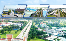 Sonadezi (SNZ) báo lãi sau thuế trên 1.000 tỷ đồng trong 9 tháng đầu năm 2020, tăng 34% so với cùng kỳ