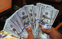 Sáng 29/10, tỷ giá trung tâm tăng tiếp 8 đồng, nhân dân tệ giảm mạnh