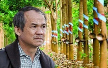 HAGL: Bầu Đức đã hoàn tất mua thoả thuận 50 triệu cổ phiếu HAG, tăng sở hữu lên 40,62% vốn