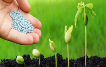 Giá vốn giảm sâu, Phân bón Bình Điền (BFC) báo lãi 41 tỷ đồng quý 3, tăng 7% so với cùng kỳ