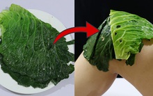 Đắp lá bắp cải vào bộ phận này trước khi đi ngủ: Chuyên gia Đông y công nhận không liều thuốc giảm đau nào bằng!