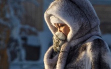 Bệnh "sợ gió" trong Đông y: Tránh được gió là giảm mắc bệnh, giữ được sức khỏe và tuổi thọ