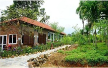 Hà Nội: Bắt đầu rà soát, xử lí vi phạm đất đai tại các mô hình farmstay