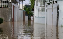 Bão tan nhưng dân phố biển Nha Trang vẫn bì bõm nơi nước ngập