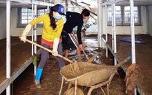 Thầy cô Trà Leng cạo núi bùn, dọn trường sau mưa lũ