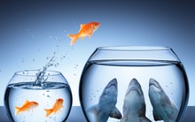 Điều tốt nhất luôn đi cùng khó khăn khốc liệt nhất: Sống trên đời, mỗi người đều chín chắn nhờ nghịch cảnh, vinh quang nhờ đường cùng