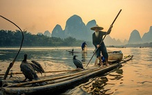 "Làm người, hành động ngu ngốc nhất là gì?" - câu trả lời cho thấy nhiều người đã từng phạm phải nhưng không hề nhận ra