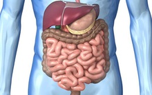 Những tín hiệu cảnh báo nội tạng của bạn quá bẩn: Hãy đối chiếu và nhanh chóng làm sạch