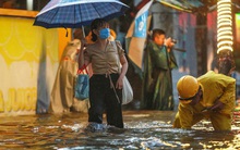 Sống ở 'rốn ngập' Nguyễn Hữu Cảnh: 'Giữa TP.HCM mà tôi nghĩ mình như ở vùng lũ miền Trung vậy'