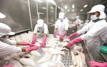 Khu vực Nam Á - dư địa lớn cho hàng Việt