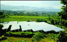 Mặt trái cơn sốt lắp pin năng lượng mặt trời