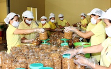 Tham gia chuỗi giá trị toàn cầu: Tự bơi là chính