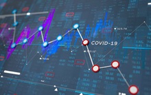 Chuyển động quỹ đầu tư tuần 26/10-1/11: Macquarie Bank bán FPT, PYN Elite bán VCI