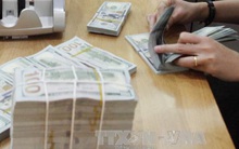 Sáng 2/11, tỷ giá trung tâm không đổi