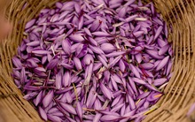 Nhà giàu Việt săn lùng nhụy hoa giá 450 triệu đồng/kg, chuyên gia chỉ rõ: Sẵn trong các thuốc rẻ tiền dễ kiếm!