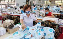 Bảo lãnh tín dụng - ai lãnh?